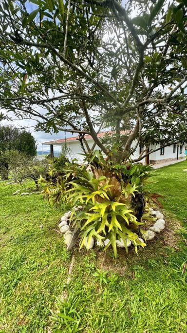 Villa Finca Con Vistas Al Lago Calima Exterior foto